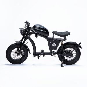 FT-02 MINI